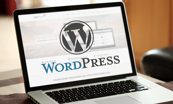 wordpress development